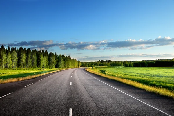 Asphalt road in forest Stock Photo