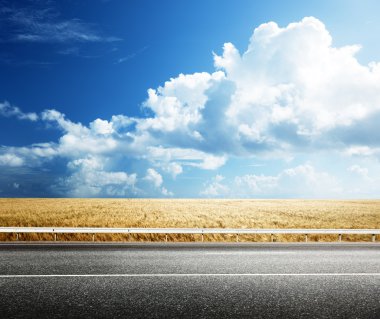 yol asfalt ve mükemmel buğday alanı