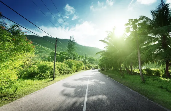Strada vuota nella giungla delle isole Seychelles — Foto Stock