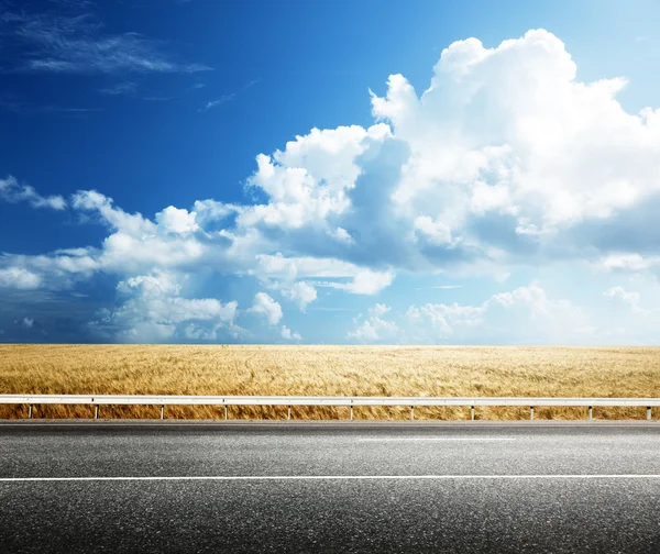 Estrada de asfalto e campo de trigo perfeito — Fotografia de Stock