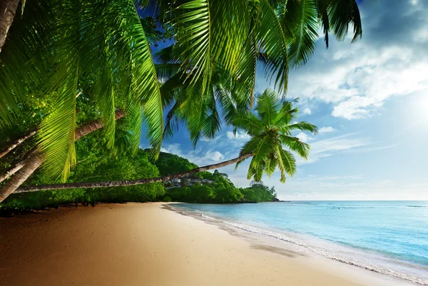 Solnedgång på stranden anse takamaka mahe Island, Seychellerna — Stockfoto