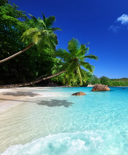 Pláž na ostrově Praslin, Seychely — Stock fotografie