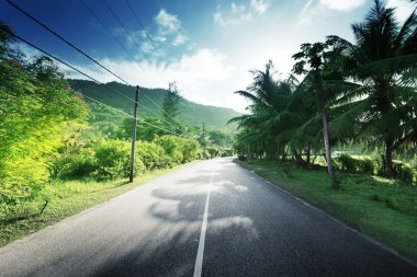 Boş yol ormanda seychelles Adaları