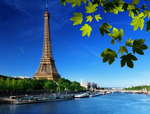 Sena em Paris com Torre Eiffel Imagens Royalty-Free