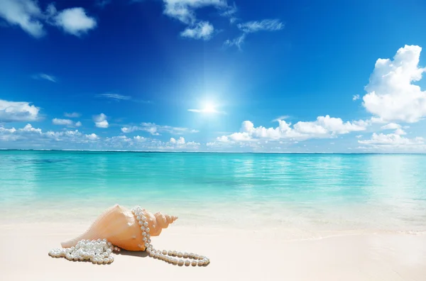 Conchas de mar y perlas en la playa — Foto de Stock