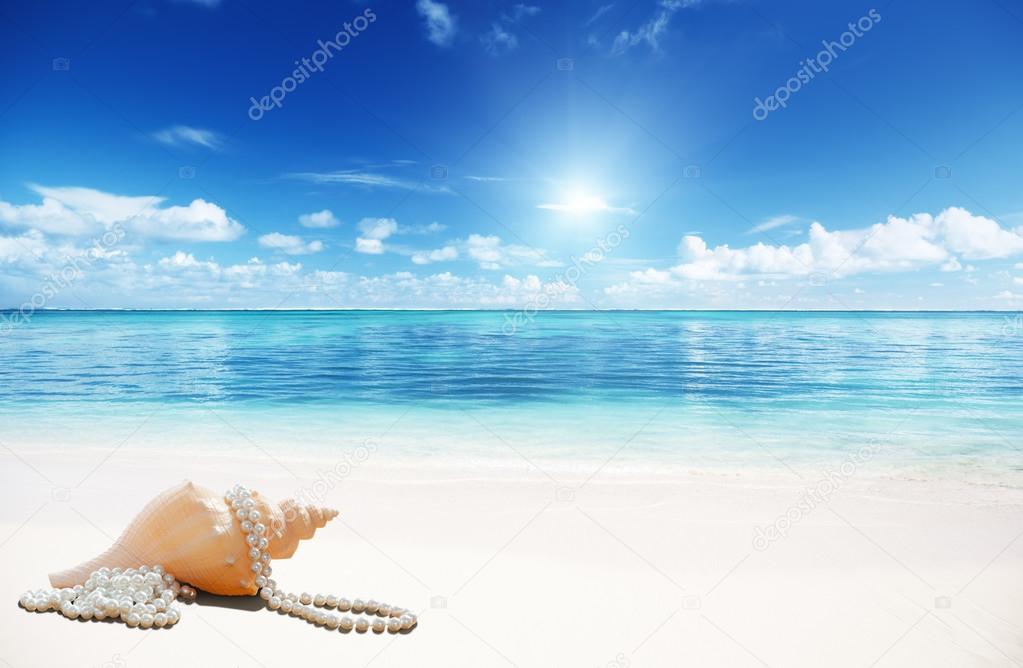 sea shells and perls on the beach
