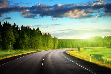 yol asfalt orman