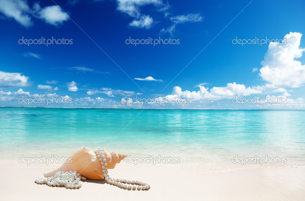 sea shells and perls on the beach