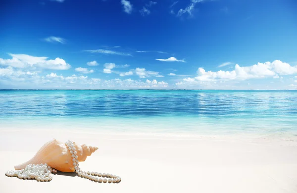 Conchas de mar y perlas en la playa — Foto de Stock