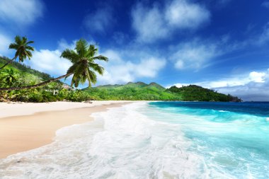 beach at Mahe island, Seychelles clipart