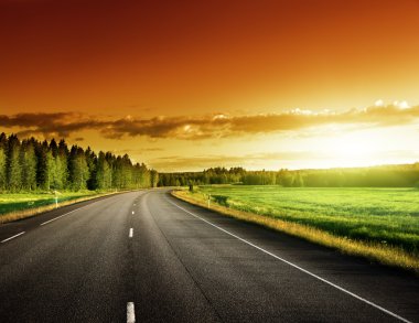 yol asfalt orman