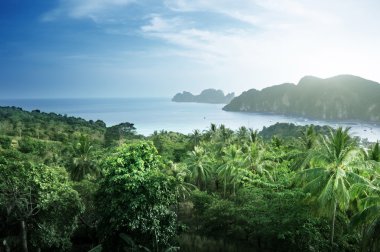 phi phi Island Tayland görüş noktasından göster