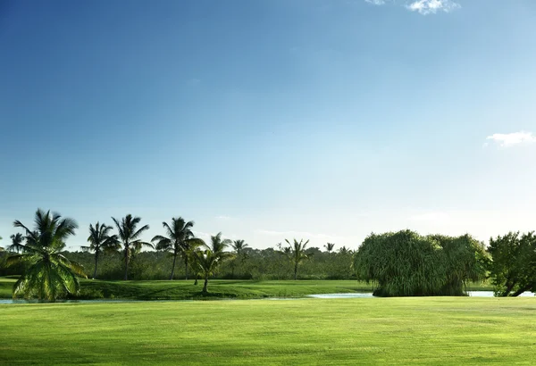 Campo de golfe — Fotografia de Stock