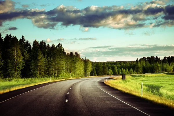 Strada asfaltata nella foresta — Foto Stock