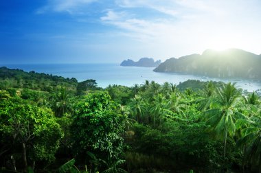phi phi Island Tayland görüş noktasından göster