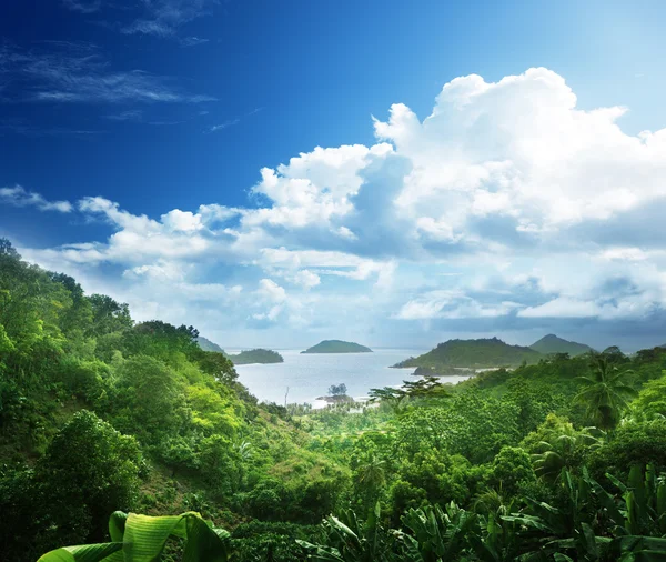 Giungla di Seychelles Isola — Foto Stock