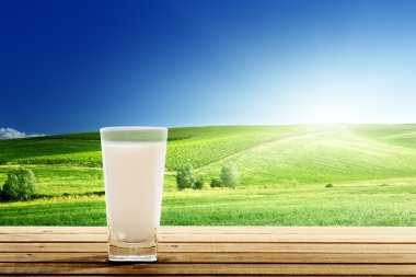 bardak süt ve güneşli bir gün