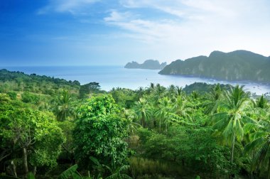 phi phi Island Tayland görüş noktasından göster