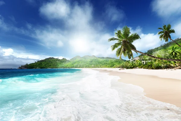 Playa en la isla de Mahe, Seychelles — Foto de Stock