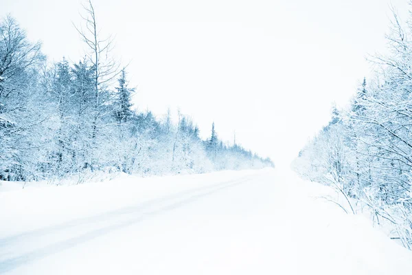 Estrada de inverno em uma floresta — Fotografia de Stock