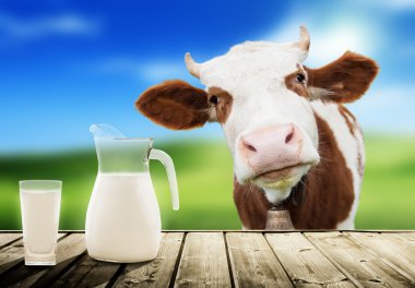 cow and milk clipart