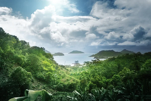 Giungla di Seychelles Isola — Foto Stock