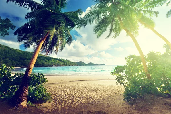Coucher de soleil sur la plage, île de Mahe, seychelles — Photo