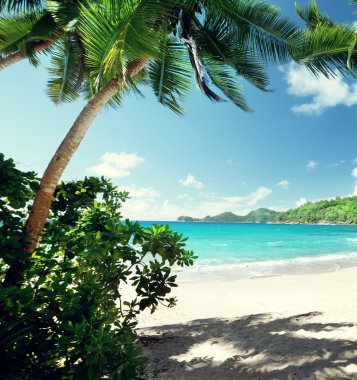 beach, Mahe island, Seychelles clipart