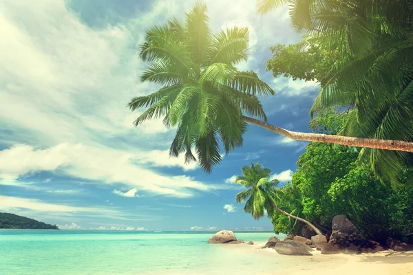 Spiaggia sull'isola di Mahe, Seychelles — Foto Stock