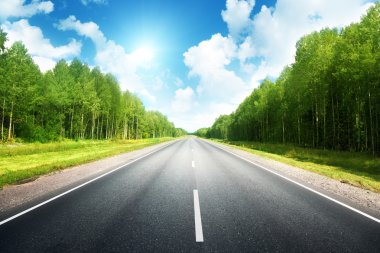Yaz ormanlarında yol