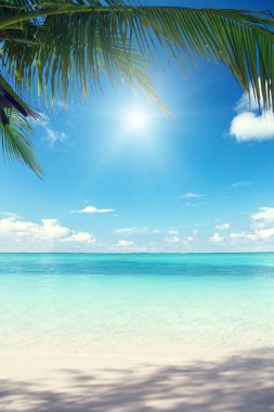 Caribbean sea and coconut palms clipart