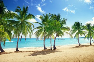 beach of Catalina island in Dominican republic clipart