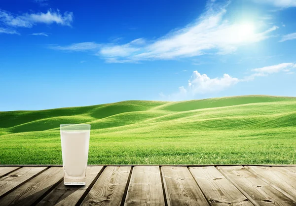 Milch und sonniges Frühlingsfeld — Stockfoto