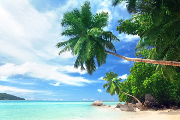 beach on Mahe island, Seychelles