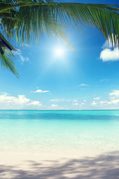 Mare dei Caraibi e palme da cocco — Foto Stock