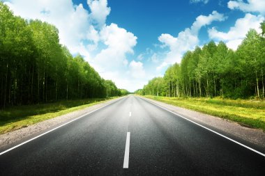 Yaz ormanlarında yol