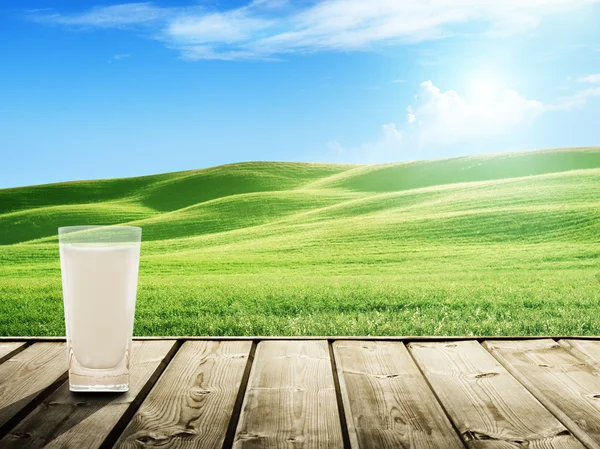 Süt ve güneşli bir bahar alan — Stok fotoğraf
