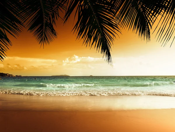 Coucher de soleil sur la plage de la mer des Caraïbes — Photo