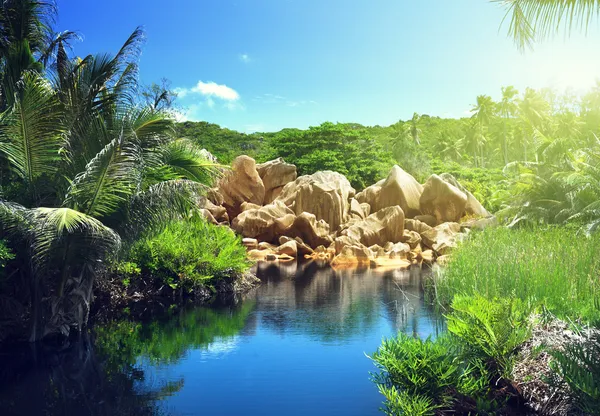 Lake in jungle of Seychelles, La Digue island — Stock Photo, Image