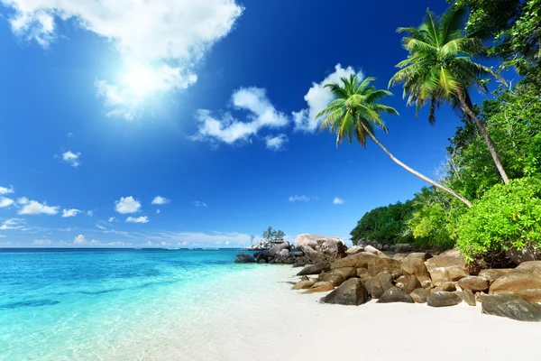 Playa en la isla de Mahe, Seychelles — Foto de Stock