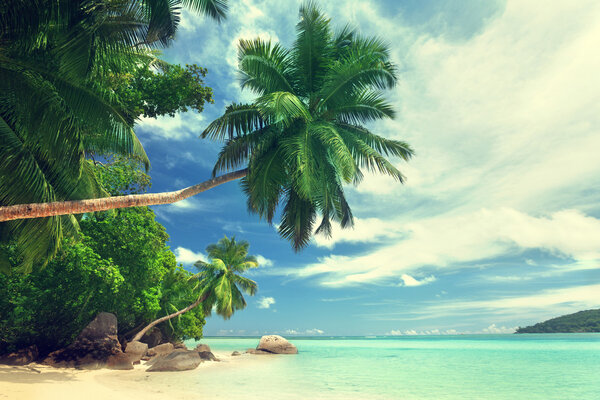 beach on Mahe island, Seychelles