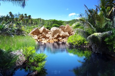 Seyşel Adaları, la digue Adası ormanları içinde göl