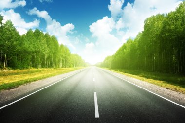 Yaz ormanlarında yol