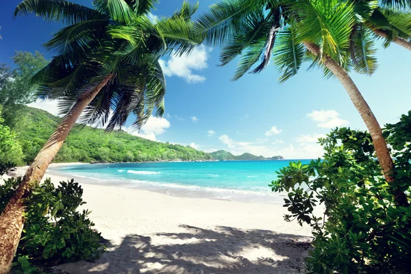 Strand, Insel Mahé, Seychellen — Stockfoto