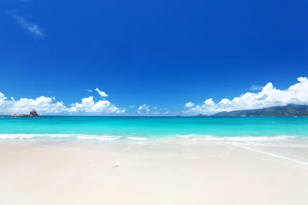 Seychellen strand — Stockfoto