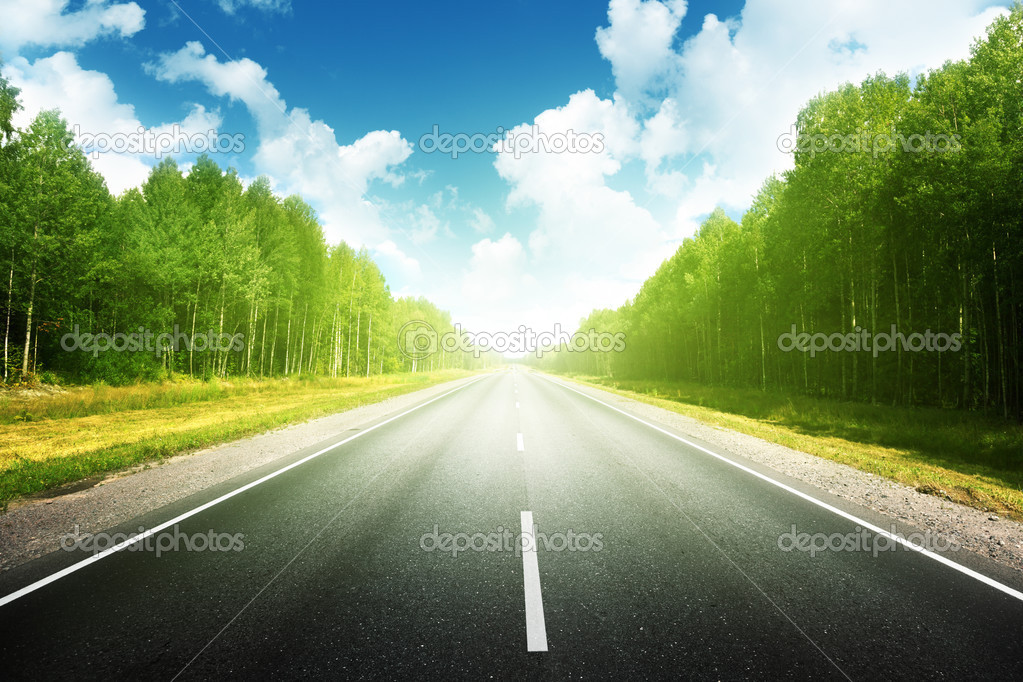 road in summer forest