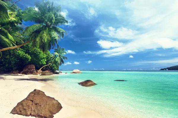 Playa en la isla de Mahe, Seychelles — Foto de Stock