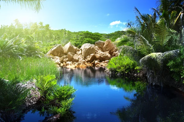 Lago en la selva de Seychelles, isla de La Digue — Foto de Stock