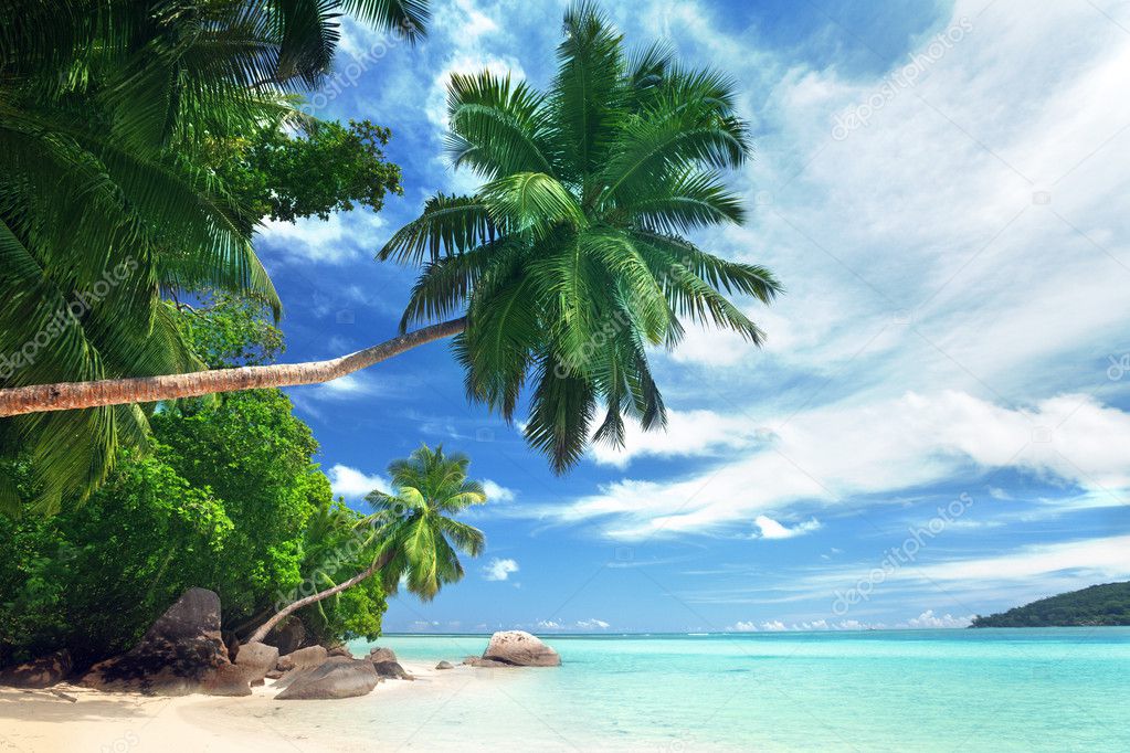 beach on Mahe island, Seychelles