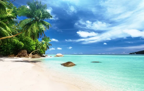 Praia na ilha de Mahe, Seychelles — Fotografia de Stock